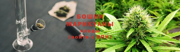 ALPHA PVP Остров