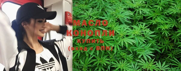 прущие грибы Няндома