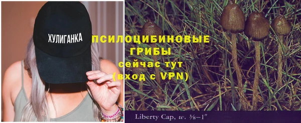 тгк Нязепетровск