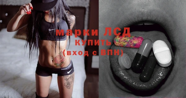 прущие грибы Няндома