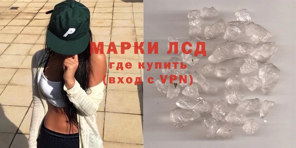 ALPHA PVP Остров