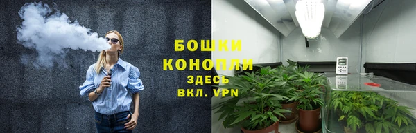 прущие грибы Няндома