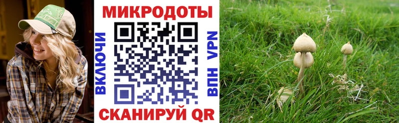 Галлюциногенные грибы Psilocybine cubensis  Красновишерск 